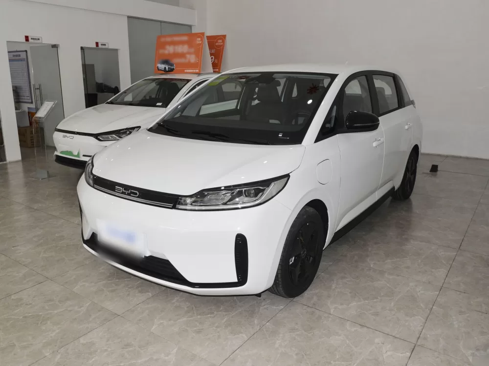 BYD D1