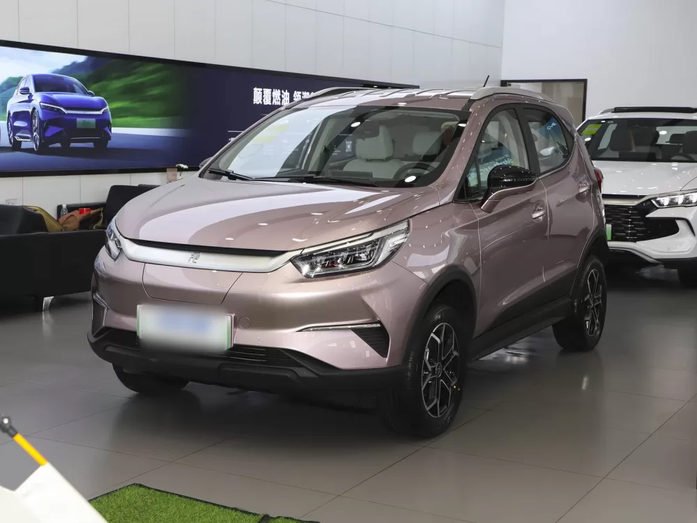 BYD YuanPro