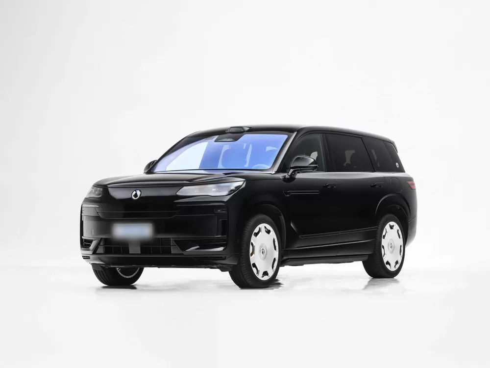 Denza N9