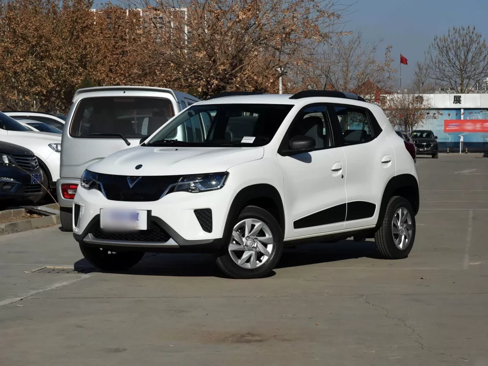 Venucia e30