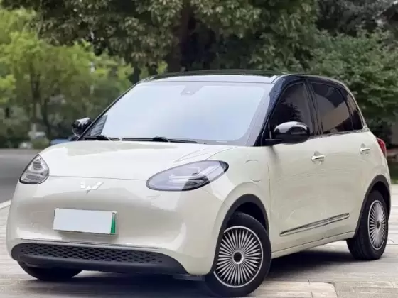2023 Wuling Bingo