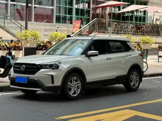 2021 Venucia T60