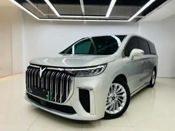 2022 Voyah 梦想家