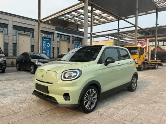 2022 Leapmotor T03