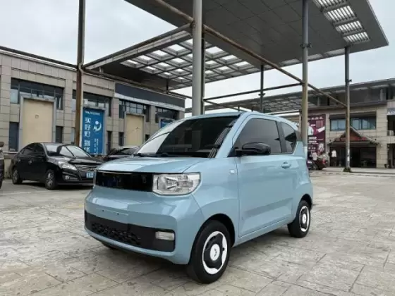MINI EV