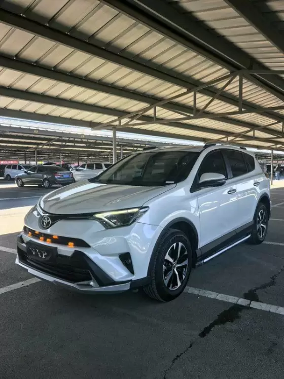 2019 Toyota RAV4