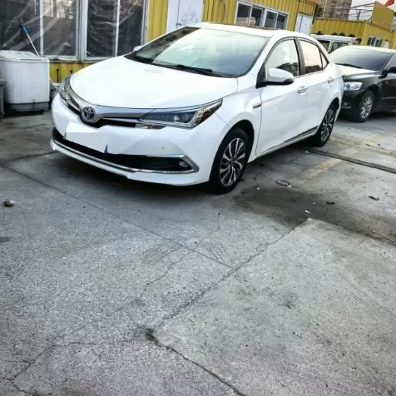 2019 Toyota Corolla