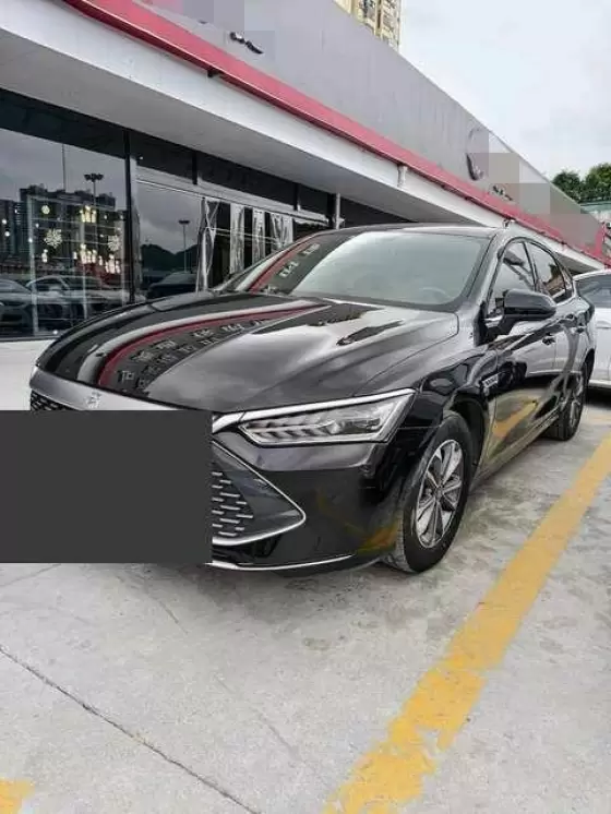 2024 BYD BYD Qin PLUS EV