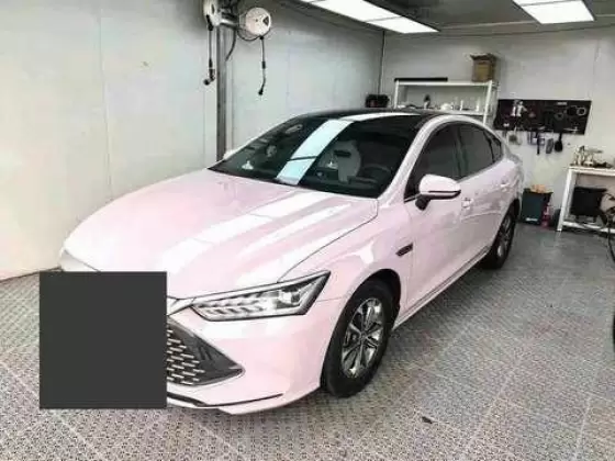 2023 BYD BYD Qin PLUS EV