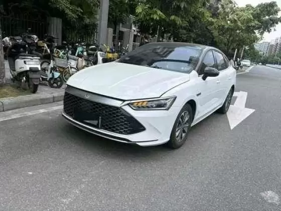2024 BYD BYD Qin PLUS EV