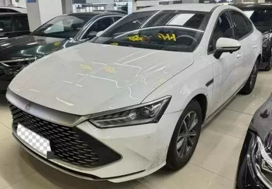 2024 BYD BYD Qin PLUS EV