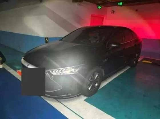 2024 BYD BYD Qin PLUS EV