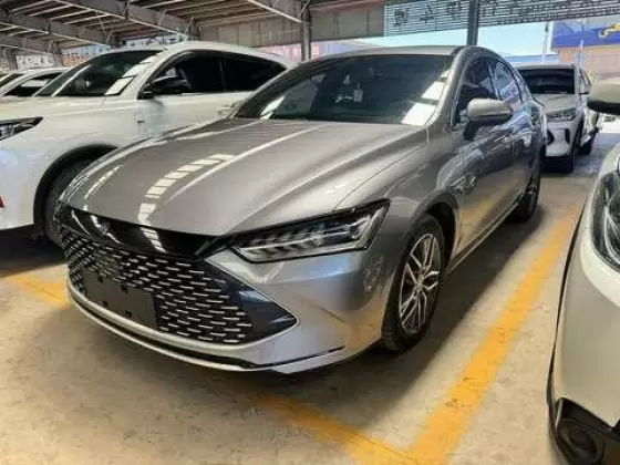 2021 BYD BYD Qin PLUS EV