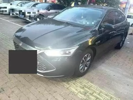 BYD BYD Qin PLUS EV