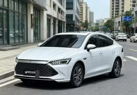2023 BYD BYD Qin PLUS EV