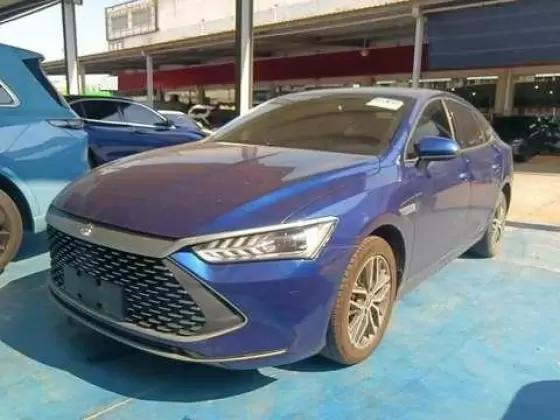 2022 BYD BYD Qin PLUS EV