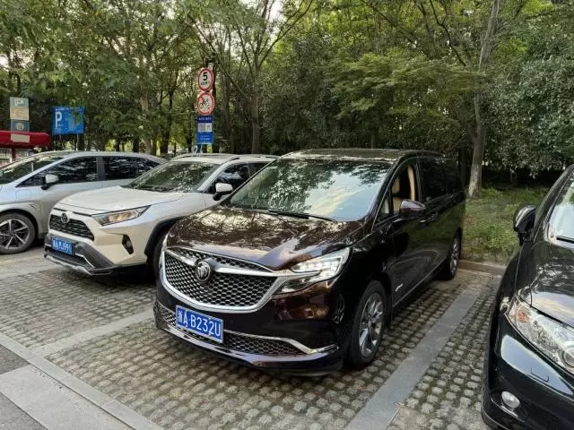 Buick 2021 GL8 Avenir 2.0T Six-Seat Courtesy Edition