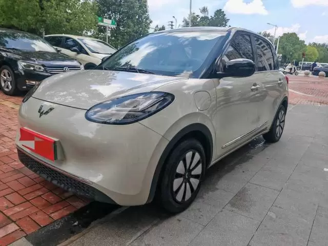 Wuling Bingo 2024 Bingguo 333km Lingxi Interconnect Edition