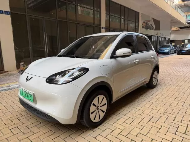 Wuling Bingo 2024 Binyao 203km Light Enjoyment Model
